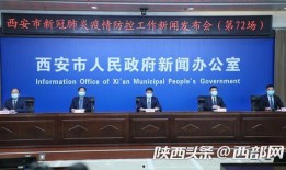 西京最新爆料新闻事件视频,最新爆料新闻事件视频深度解析